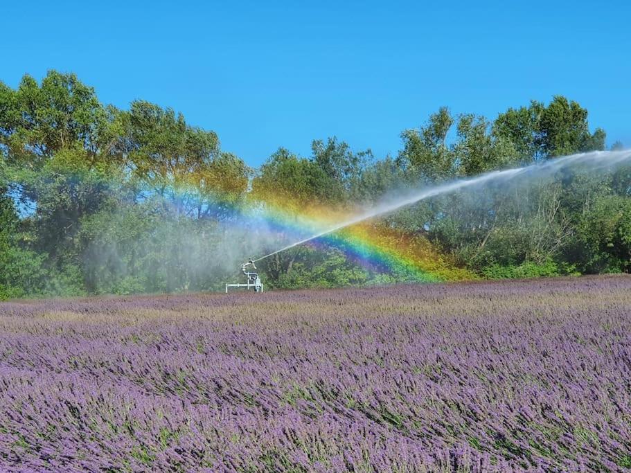 L'Ardeche En Provence Avec Jardin Ombrage Vila Pont-Saint-Esprit Exterior foto